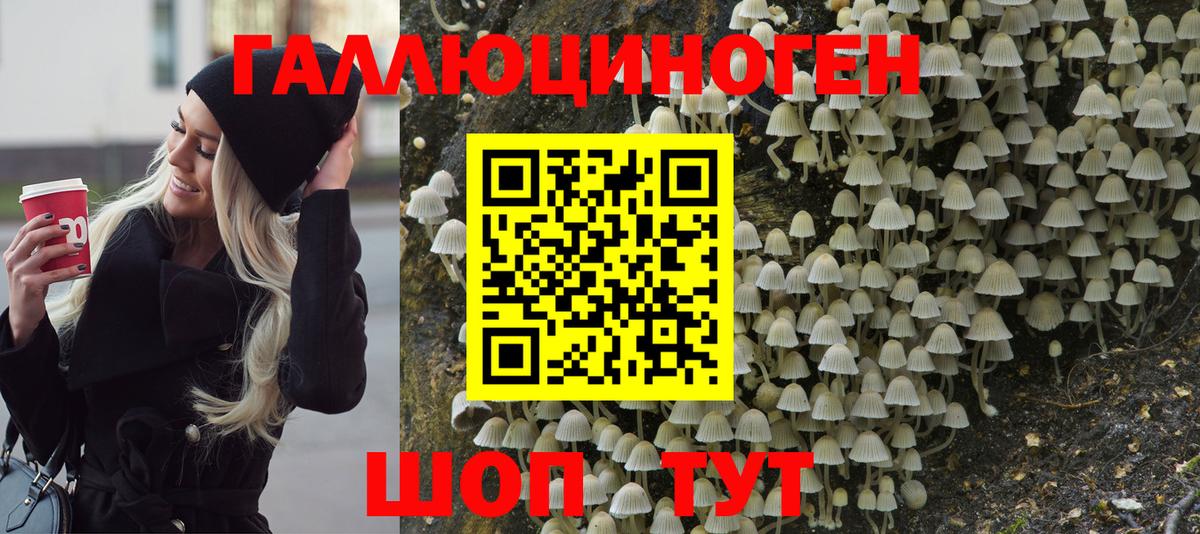 Йошкар-Ола  Псилоцибиновые грибы Magic Shrooms  Вход с VPN 