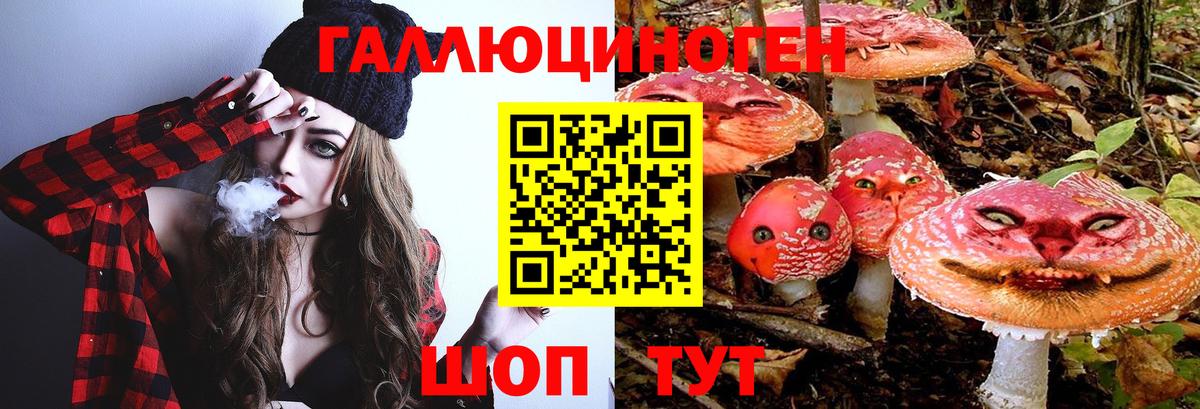 Псилоцибиновые грибы Cubensis Йошкар-Ола